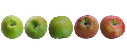 apples stand in a row on a white background