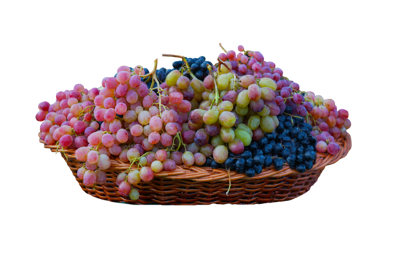 Different grapes in a basket on a white background