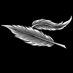 Obraz premium white feather isolated on black