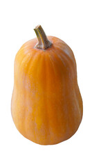 Long yellow pumpkin on a white background