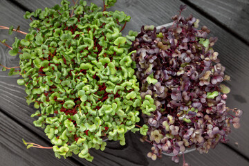 Two types of microgreens in clear containers on dark wood