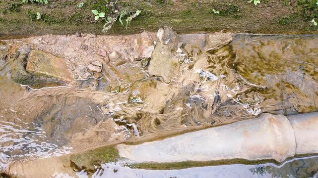 Trench worm ecosystem. Parasitic worms are ditched. silk worms are ditched.