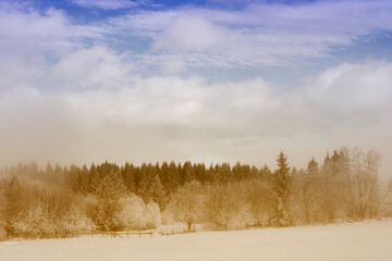 Hoarfrost along Kronborgsetergrenda of rural Toten, Norway, in February 2025.