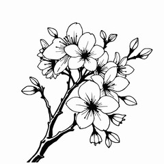Obraz premium Cherry Blossom Outline Icon, Sakura Flower Vector, Editable Stroke, Black Minimalist