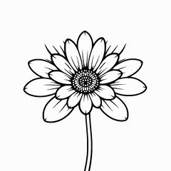 Daisy Flower Outline Icon, Simple Floral Vector, Editable Stroke, Minimalist Black Design
