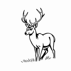 Obraz premium Deer Outline Icon, Black Stroke, Editable Vector, Forest Wildlife Illustration,