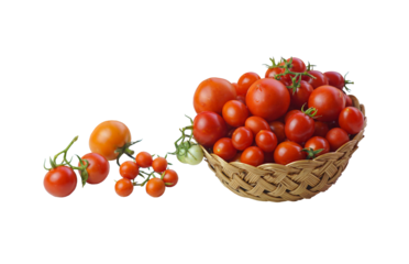 small tomatoes spilled in front of the basket