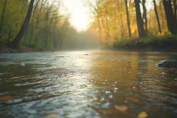 Calm River in Autumn Forest at Sunset