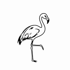 Fototapeta premium Flamingo Outline Icon, Black Stroke, Editable Vector, Exotic Bird Illustration,