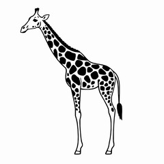 Naklejka premium Giraffe Outline Icon, Tall Safari Animal Vector, Minimalist Editable Stroke Design