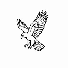 Obraz premium Hawk Outline Icon, Black Stroke, Editable Vector, Powerful Bird Design,