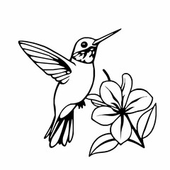 Obraz premium Hummingbird Outline Icon, Black Stroke, Editable Vector, Nature Illustration