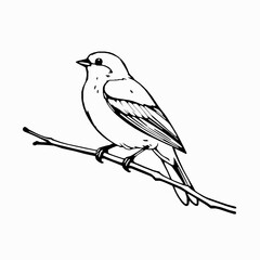 Minimalist Sparrow Bird Outline Icon, Black Stroke, Editable Vector Illustration