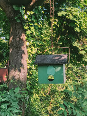 Birdhouse is hanging from a tree