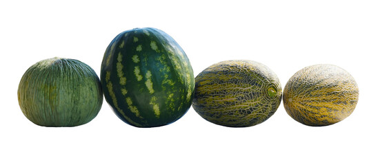 various melons and watermelons