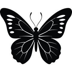 Vector illustration of butterfly on white background. There are two versions, black shape and black and white. Butterflies silhouette. 