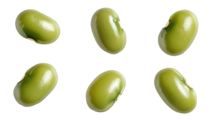 Several green mung beans placed individually on a transparent background, each one with a slightly different angle to show their oval form.