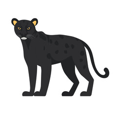 Fototapeta premium Panther illustration wildlife animal vector