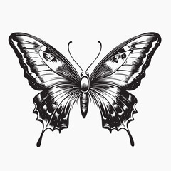 Intricate black butterfly illustration, old school tattoo vector