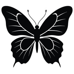 Vector illustration of butterfly on white background. There are two versions, black shape and black and white. Butterflies silhouette. 