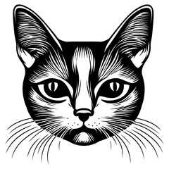 Obraz premium Chubby Korat cat head linear art illustration drawing vector