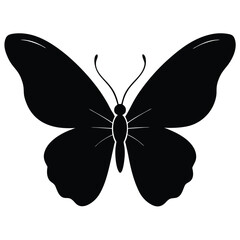 Vector illustration of butterfly on white background. There are two versions, black shape and black and white. Butterflies silhouette. 