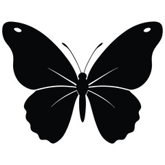 Vector illustration of butterfly on white background. There are two versions, black shape and black and white. Butterflies silhouette. 