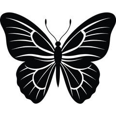 Vector illustration of butterfly on white background. There are two versions, black shape and black and white. Butterflies silhouette. 