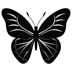 Vector illustration of butterfly on white background. There are two versions, black shape and black and white. Butterflies silhouette. 