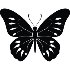 Vector illustration of butterfly on white background. There are two versions, black shape and black and white. Butterflies silhouette. 