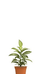 Obraz premium Flowers in a pot display vibrant blooms and lush foliage