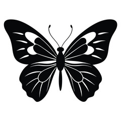 Vector illustration of butterfly on white background. There are two versions, black shape and black and white. Butterflies silhouette. 
