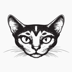 Obraz premium v1188-elements-001