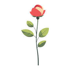 Red rose flower art illustration transparent vector