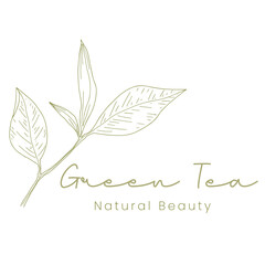 Hand-Drawn Green Tea Skincare Logo Organic Beauty Branding