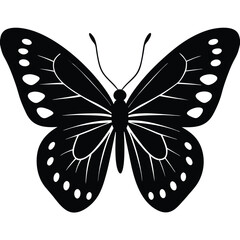 Vector illustration of butterfly on white background. There are two versions, black shape and black and white. Butterflies silhouette. 