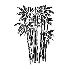 Fototapeta premium Bamboo tree drawing white art vector