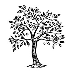 European ash tree art drawing white vector