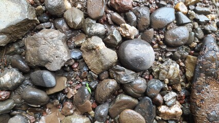 The surface of the old antique gravel on the surface of the ground exposed to rain