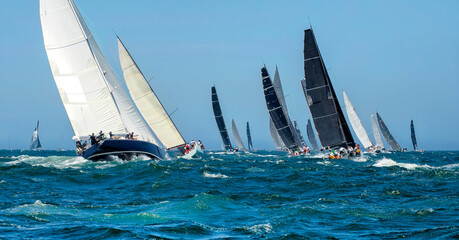 Sailing yachts regatta. Yachting. Sailing race  Australia