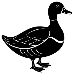 Duck silhouette vector illustration 