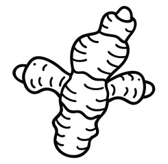 Obraz premium Spicy Ginger vegetable food illustration vector sketch freehand outline hand drawn sketchy line art icon sign silhouette 