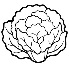 Cauliflower vegetable outline black and white cute drawing. The vegetable is the main focus of the image. The vegetable adds a touch of nature and freshness to the scene. The image is simple and clear
