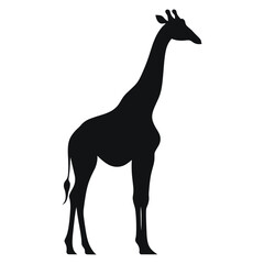 Fototapeta premium Giraffe silhouette illustration wildlife animal vector
