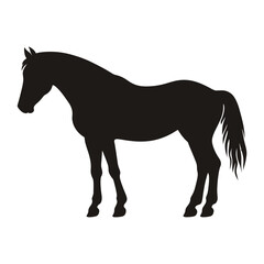 Horse silhouette animal black art vector