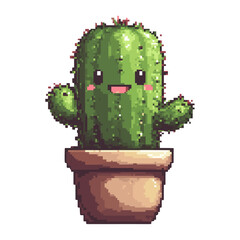 Cactus illustration plant pixel vector