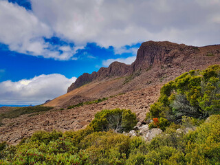 Scree slope and alpine vegetation on the northern flanks of Ben Lomond, Tasmania, Australia
