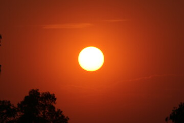 sunset in my backyard