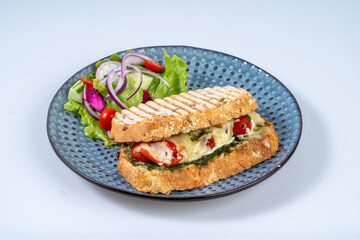 Delicious sandwich with melted cheese, tomatoes, and pesto on whole grain bread, served with fresh salad of lettuce, cucumber, and red onion