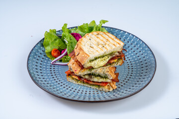 Delicious grilled sandwich with pesto, cheese, and vegetables served on blue plate with fresh salad. Perfect for light meal or snack